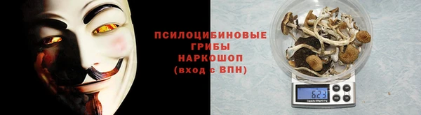 крисы Богданович